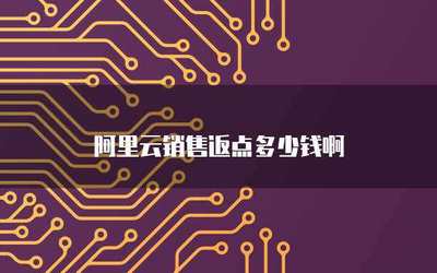 銷售云網管軟件 成本與市場定價策略解析
