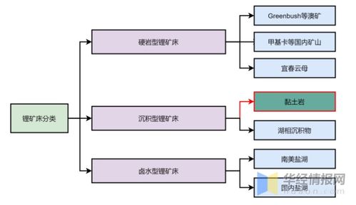 鋰資源行業發展現狀及未來趨勢 中國依賴海外進口與信息化支持服務的重要性